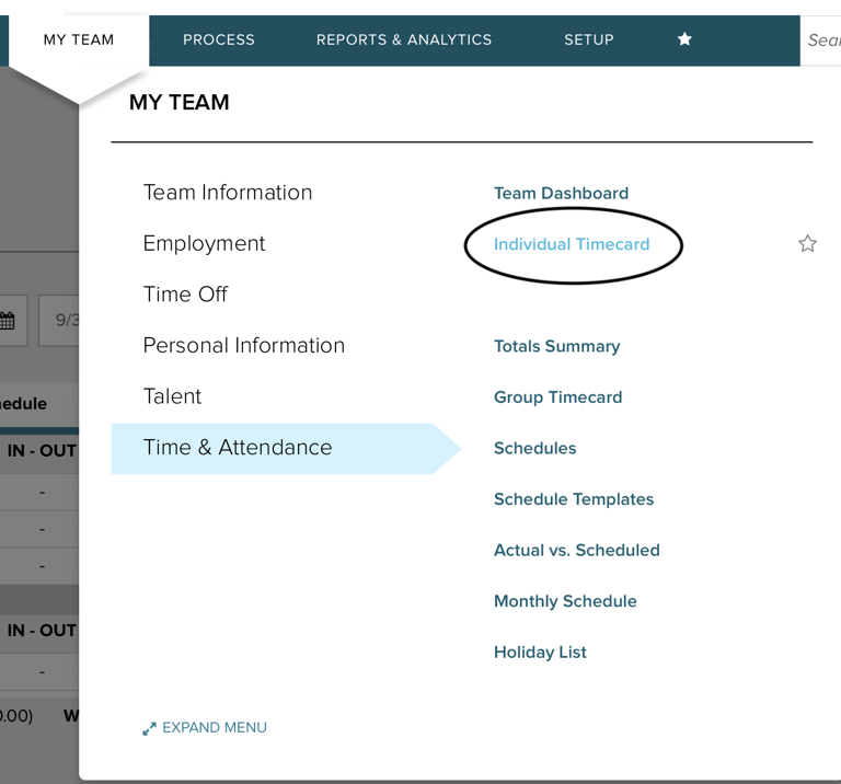 adp-manager-how-to-edit-approve-timecard-individual-timecard-view